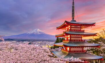 SAKURA ZAMANI JAPONYA-GÜNEY KORE TURU