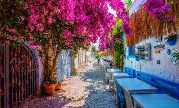 URLA - ÇEŞME –ALAÇATI  -SIĞACIK TURU