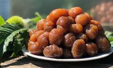 TİRİLYE- MUDANYA-CUMALI KIZIK– BURSA-GÖLYAZI TURU