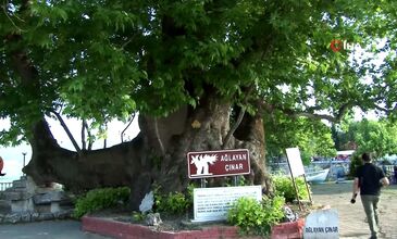 14 ŞUBAT 2026 ULUDAĞ KAYAK MERKEZİ & GÖLYAZI TURU