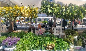 25 NİSAN 2026 ALAÇATI OT FESTİVALİ