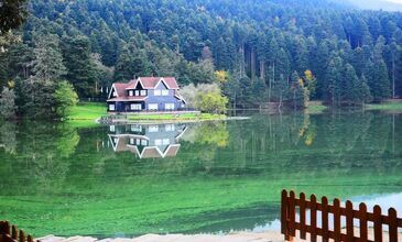01-03 MAYIS 2026 ABANT & YEDİGÖLLER & GÖLCÜK&ORMANYA&MAŞUKİYE&BURSA TURU