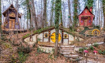 17-19 NİSAN 2026 ABANT & YEDİGÖLLER & GÖLCÜK&ORMANYA&MAŞUKİYE&BURSA TURU