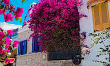 28 MART 2026 BODRUM ACI OT FESTİVALİ & SÖKE NOVADA  OUTTLET AWM  TURU