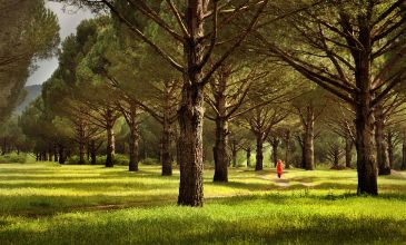 05-06 MAYIS 2026 BERGAMA ANTİK KENTİ-AŞIKLAR ŞELALESİ-KOZAK YAYLASI