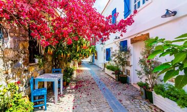ÇEŞME -ALAÇATI- TURU ILICADA SAHİLDE YÜZME MOLALI TURU